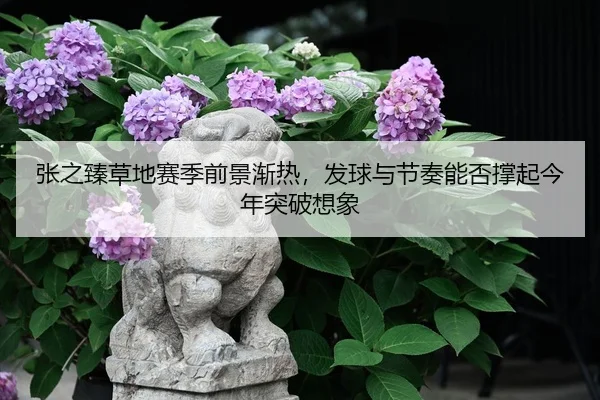 张之臻草地赛季前景渐热，发球与节奏能否撑起今年突破想象